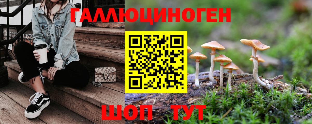 Псилоцибиновые грибы Psilocybe Лениногорск